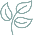 decorative leaf.